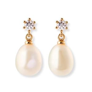 12300101-sparv-daily-orhangen-guld-1