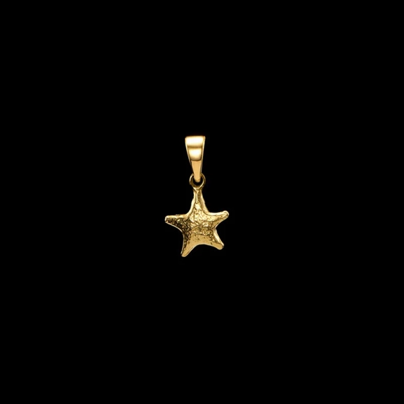 Tiny Tuvstarrs Star Charm Gold - Maria Nilsdotter - Schmuck im skandinavischen Design - Nordic Spectra