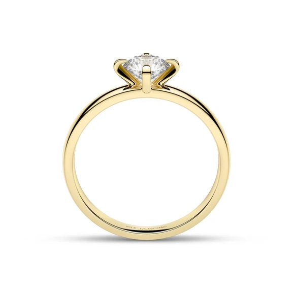 elegant fattad i skimrande guld