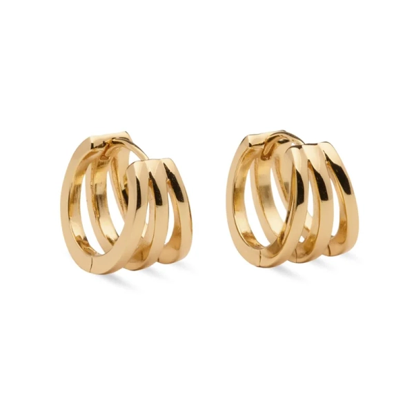 Soirée Örhängen Guld - Sparv - Beliebter Schmuck für alle Gelegenheiten