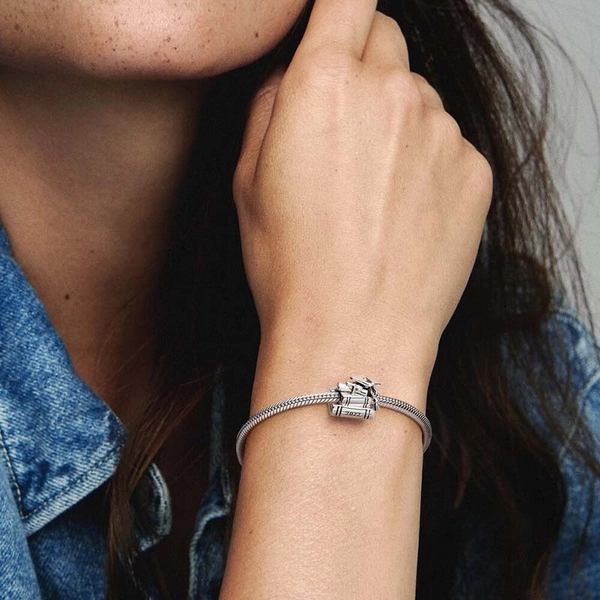 Schulabschluss 2022 Charm von PANDORA, Schneller Versand - Nordicspectra.de