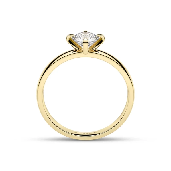elegant fattad i skimrande guld