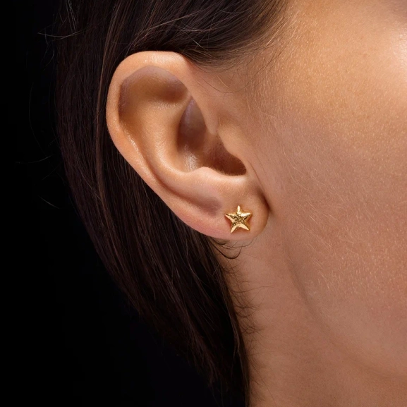 Presentset Tiny Tuvstarr Star Gold med halsband och örhängen i 18K guldpläterat silver