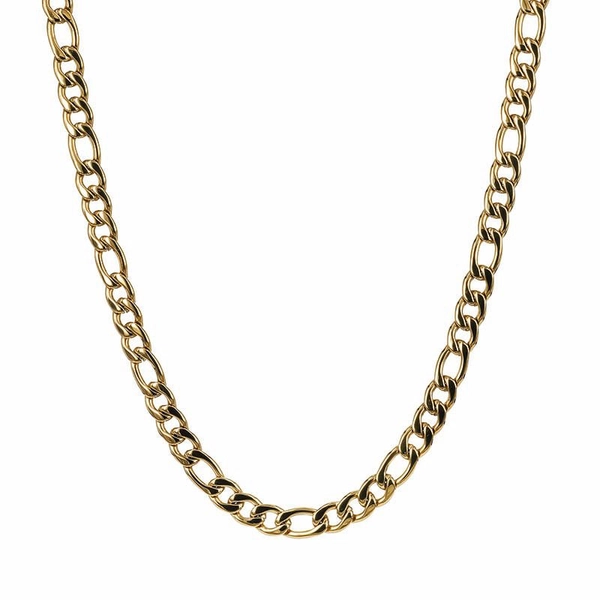 SCOTT Large Halsband Guld - AROCK - Snabb frakt & paketinslagning - Nordicspectra.se