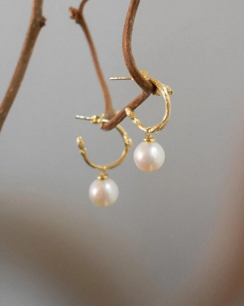 Branch Pearl Hoops Gold - Drakenberg/Sjölin Örhängen- Snabb leverans & paketinslagning - Nordic Spectra
