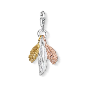 Charm-Anhänger Federn von Thomas Sabo, Schneller Versand - Nordicspectra.de