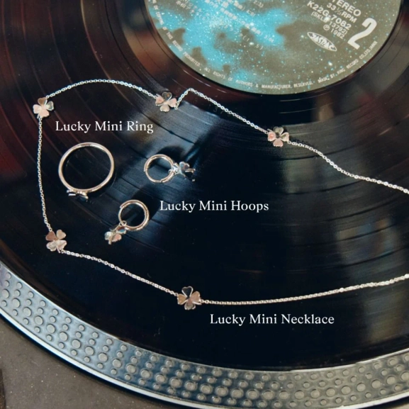 130288-edblad-lucky-hoops-mini-steel-6