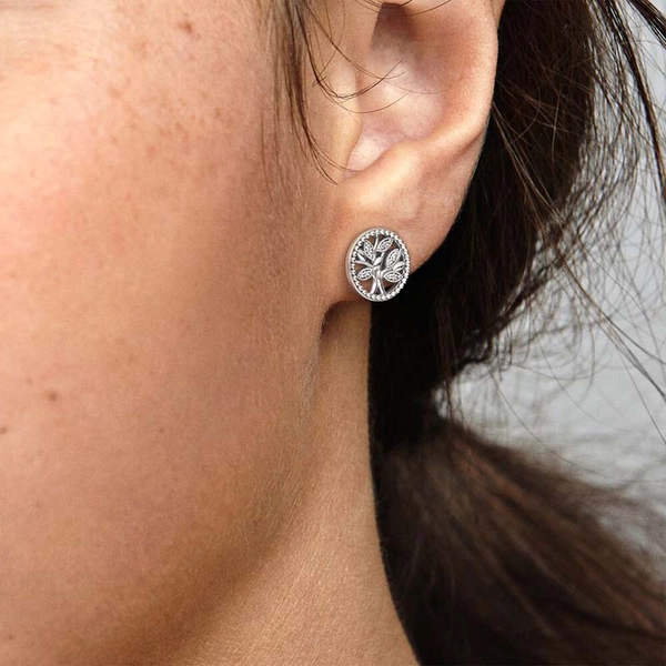 Funkelnde Stammbaum Ohrstecker von PANDORA, Schneller Versand - Nordicspectra.de