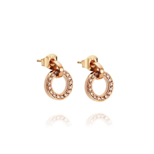 Ring Around & Stars Earrings Gold - Efva Attling örhängen - Snabb frakt & paketinslagning - Nordicspectra.se