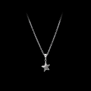ty-04-neb-p-maria-nilsdotter-tiny-tuvstarrs-star-necklace-1
