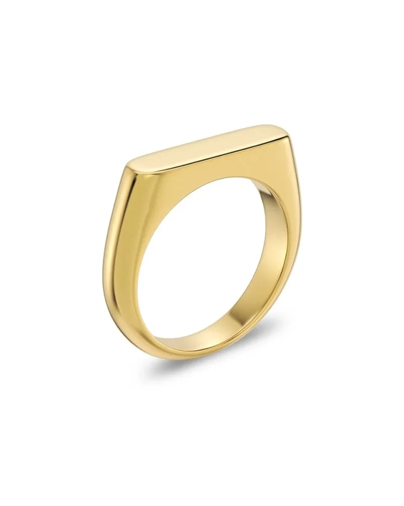Charlie Signet Ring Gold - Edblad - Snabb leverans - Gratis paketinslagning