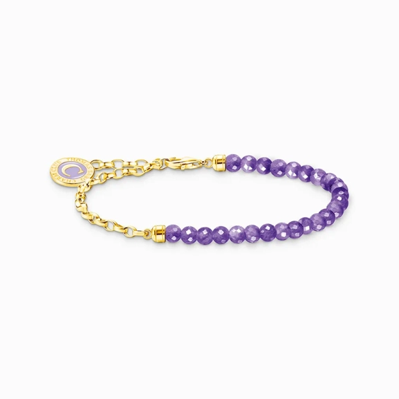 Member Charm-Armband mit Gliedern und imitiertem Amethyst vergoldet - Thomas Sabo - Nordic Spectra