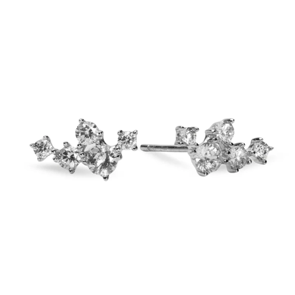 Twinkle Örhängen - Sparv - Beliebter Schmuck für alle Gelegenheiten