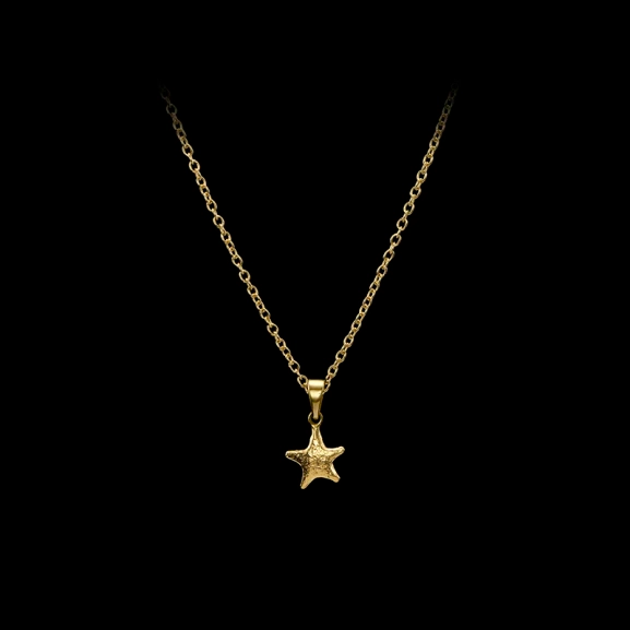 ty-04-nec-p-maria-nilsdotter-tiny-tuvstarrs-star-necklace-gold-1