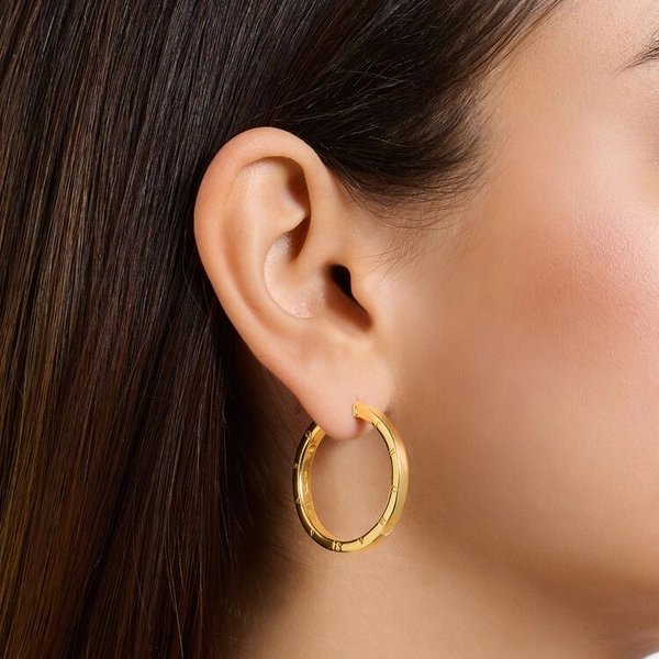 Creolen Gross Gold von Thomas Sabo, Schneller Versand - Nordicspectra.de
