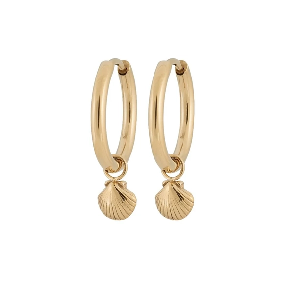 Beachcomber Shell Hoops Gold - Edblad - Snabb frakt & paketinslagning - Nordic Spectra