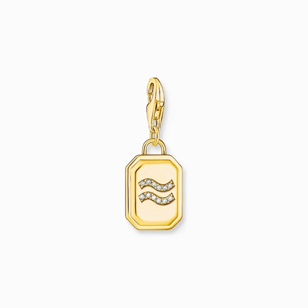 Charm-Anhänger Sternzeichen Wassermann mit Steinen Gold - Thomas Sabo - Nordic Spectra