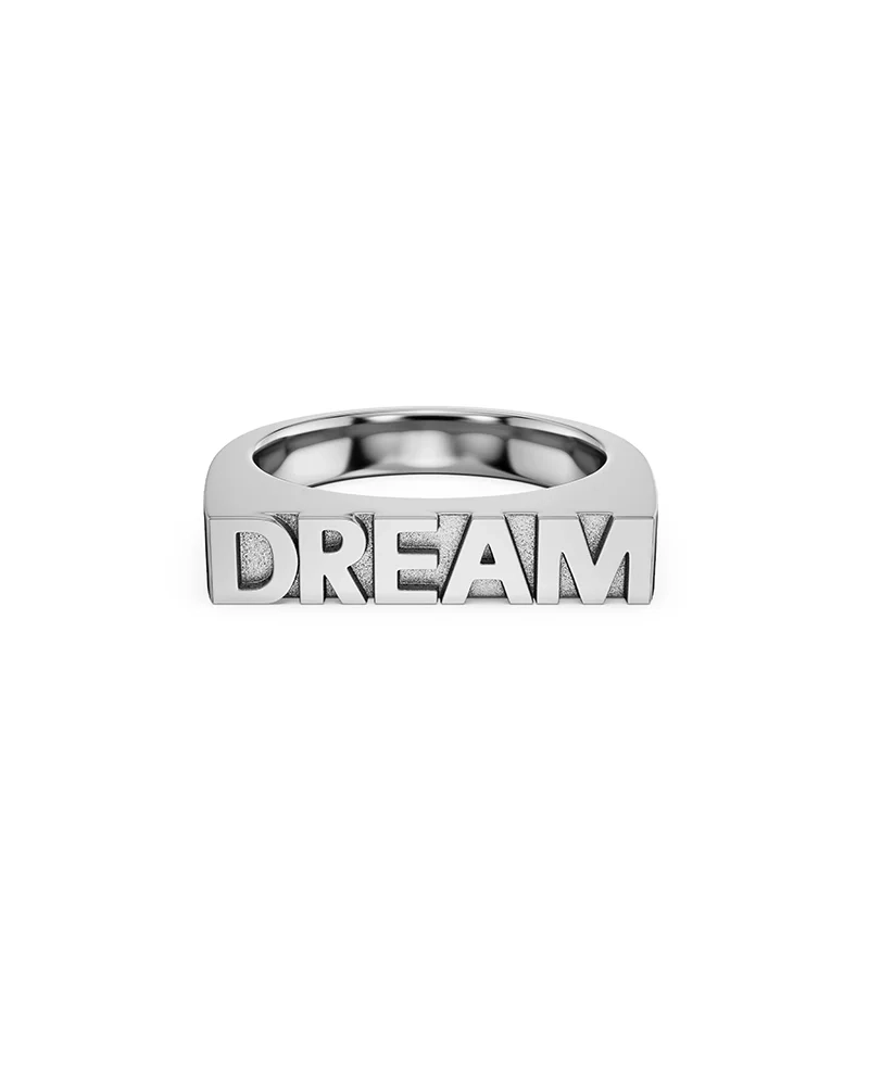 Edblad-Dream-SignetRing-Steel-PI-130878-V2