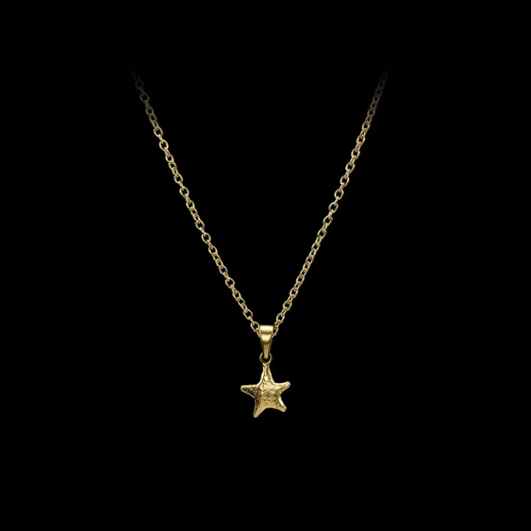 Tiny Tuvstarr’s Star Necklace i 18K guldpläterat silver