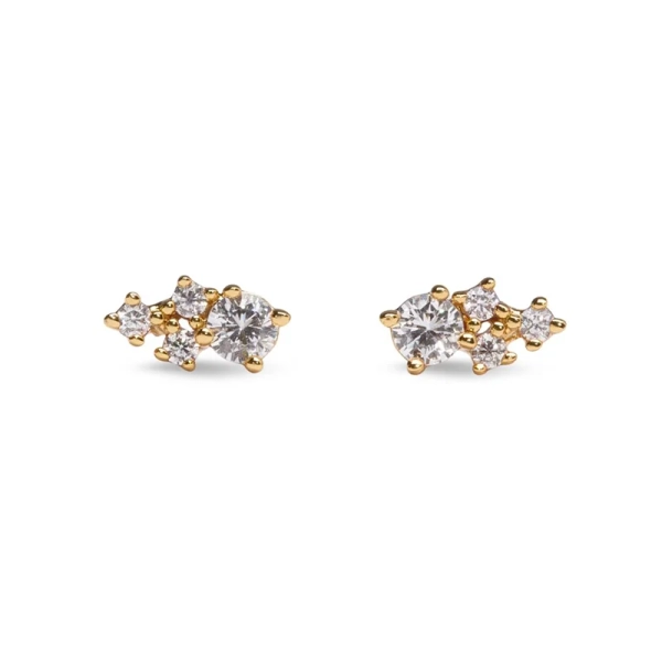 Moonlit Örhängen Guld - Sparv - Beliebter Schmuck für alle Gelegenheiten