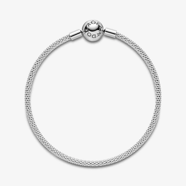 Moments Mesh Armband - PANDORA - Snabb frakt & paketinslagning - Nordicspectra.se