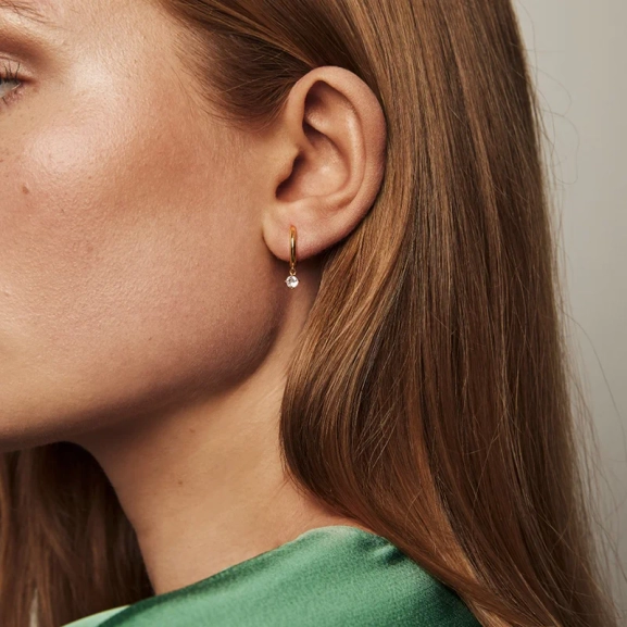 Presentset Midnight & Petite Sparkling Örhängen - Sparv - Populära smycken för alla tillfällen