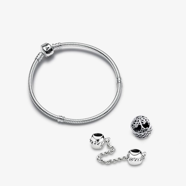 Presentset Familjerötter Berlocker & Armband - PANDORA - Snabb frakt & paketinslagning - Nordicspectra.se