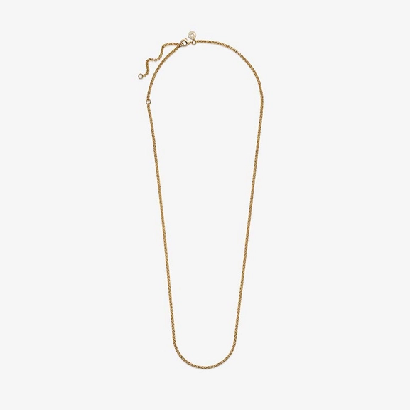 Rolokette Halskette Gold von PANDORA, Schneller Versand - Nordicspectra.de