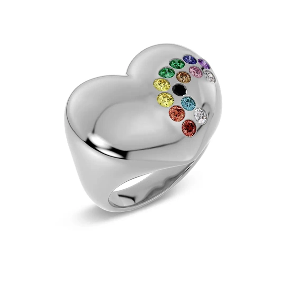 Rainbow Ring Maxi Steel - Edblad - Snabba leveranser - Gratis paketinslagning