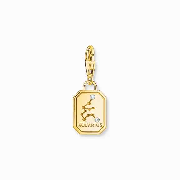 Vattumannen Stjärntecken Berlock Guld - Thomas Sabo - Snabb leverans & paketinslagning - Nordic Spectra