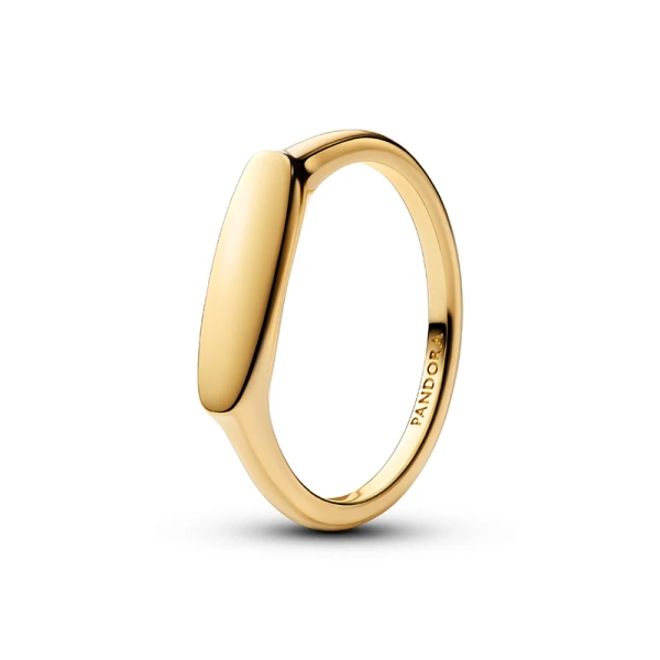 Vergoldeter nackter Ring von Pandora Moments