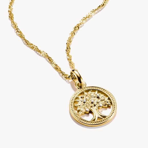 symboliserar styrka och sammanhållning.