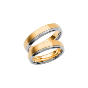 SR3009-5 Gold/White Gold - Wedding & engagement rings - Schalins - Scandinavian design - Nordic Spectra