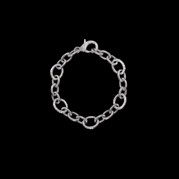 Charmed Chain Bracelet in silver with open hinges