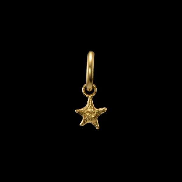 Tiny Tuvstarrs Star Earring Gold i 18K guldpläterat silver