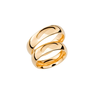 SR1014-6 Gold - Wedding & engagement rings - Schalins - Scandinavian design - Nordic Spectra