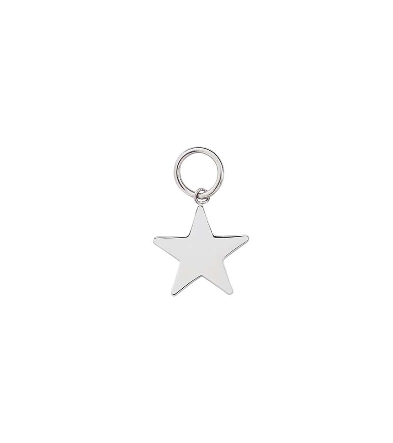 Charmentity Star Steel - Edblad - Snabb frakt & paketinslagning - Nordicspectra.se