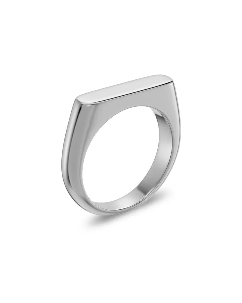 Charlie Signet Ring Steel - Edblad - Snabb leverans - Gratis paketinslagning