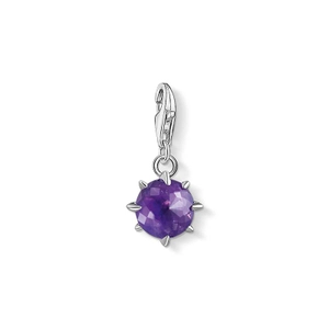 Charm-Anhänger Geburtsstein Februar von Thomas Sabo, Schneller Versand - Nordicspectra.de