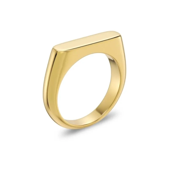 Charlie Signet Ring Gold - Edblad - Snabb leverans - Gratis paketinslagning