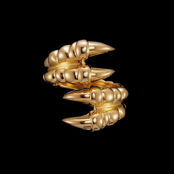 14_f1ef183a31-claw-ring-double-gps-front-0x1500