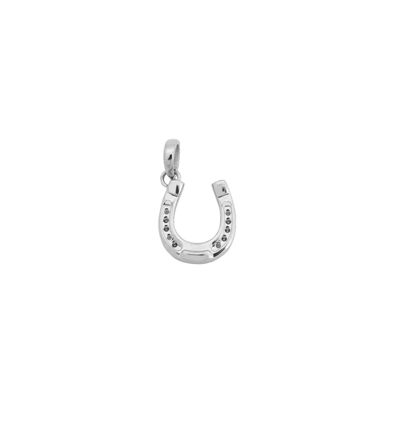 Triumph Charm Steel