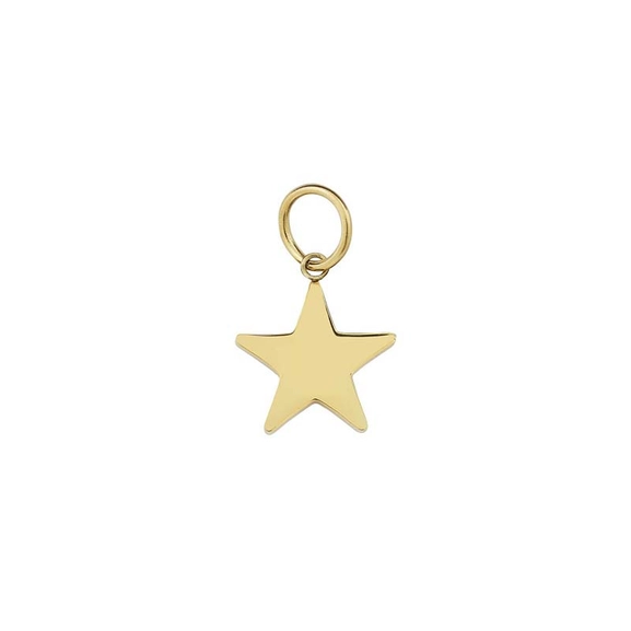 Charmentity Star Gold - Edblad - Snabb frakt & paketinslagning - Nordicspectra.se