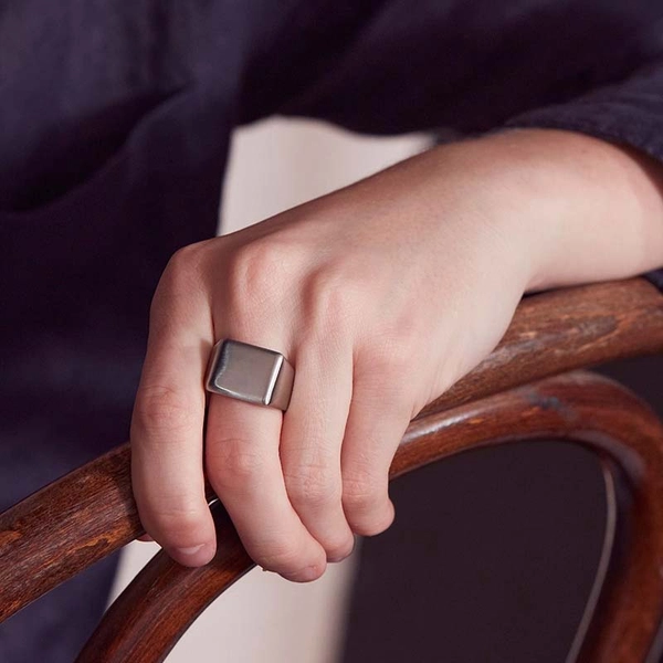 Cole Signet Ring Matt Steel - Edblad - Snabb frakt & paketinslagning - Nordicspectra.se