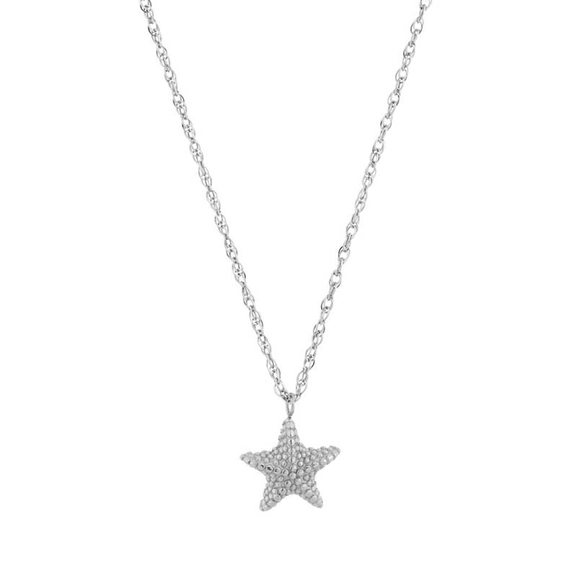 Beachcomber Starfish Necklace Steel - Edblad - Snabb frakt & paketinslagning - Nordic Spectra