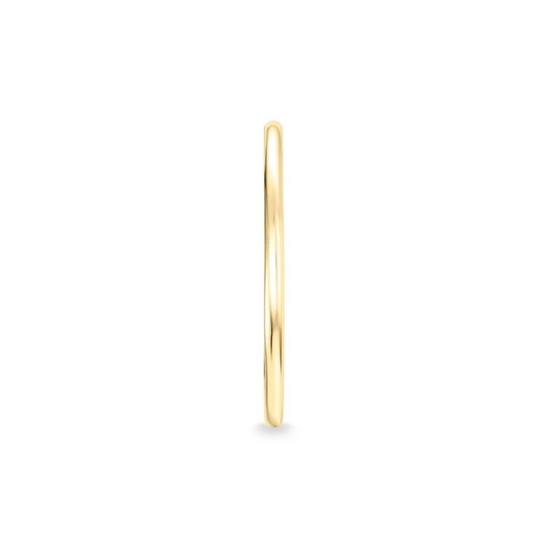 Bandring Gold von Thomas Sabo, Schneller Versand - Nordicspectra.de